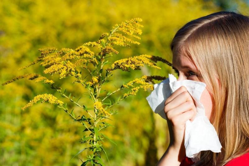 Пыльцевая аллергия Bene Vobis